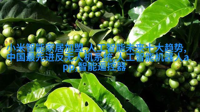 图3-自吸式气体驱动浮顶泵输送装置
